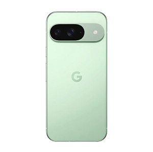 Смартфон Google Pixel 9 12/128GB USA (12 ГБ, 128 ГБ, Зелёный, США, nanoSim+eSim, Без Rustore)