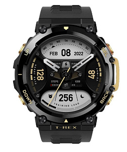 Умные часы Amazfit T-Rex 2 GPS (Чёрный/Золотой)