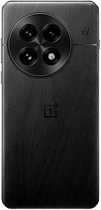 Смартфон OnePlus 13 12/256GB India (Черный, 12 ГБ, 256 ГБ, Индия, Dual nanoSim, Без Rustore)