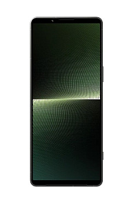 Смартфон Sony Xperia 1 V 12/256GB (Зелёный, 12 ГБ, 256 ГБ, Global, nanoSim+eSim, Без Rustore)